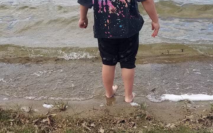 Dog Beach - Munith, MI