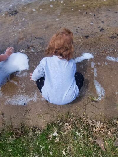 Dog Beach - Munith, MI