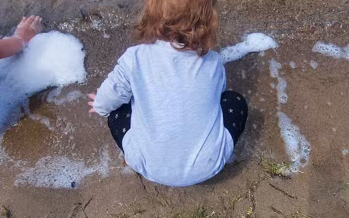 Dog Beach - Munith, MI