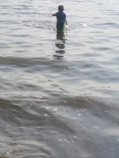 Dog Beach - Munith, MI