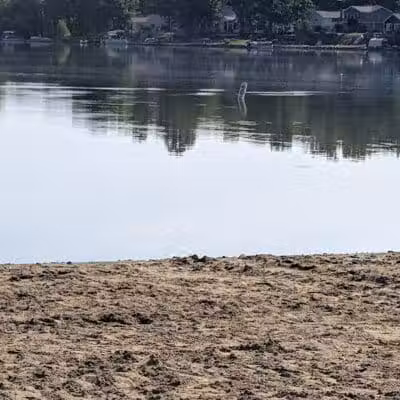 Dog Beach - Munith, MI