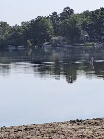 Dog Beach - Munith, MI
