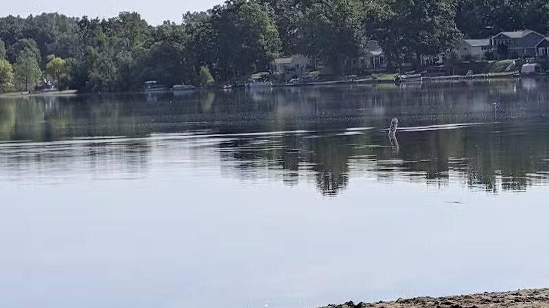 Dog Beach - Munith, MI