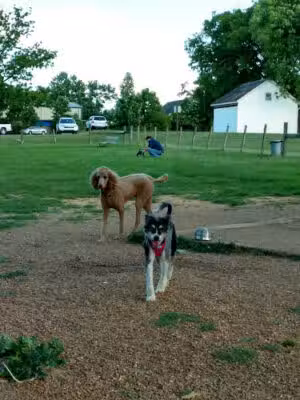 Murfreesboro Bark Park - Murfreesboro, TN