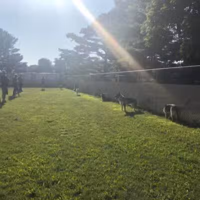 Dog Star Ranch - Muskegon,