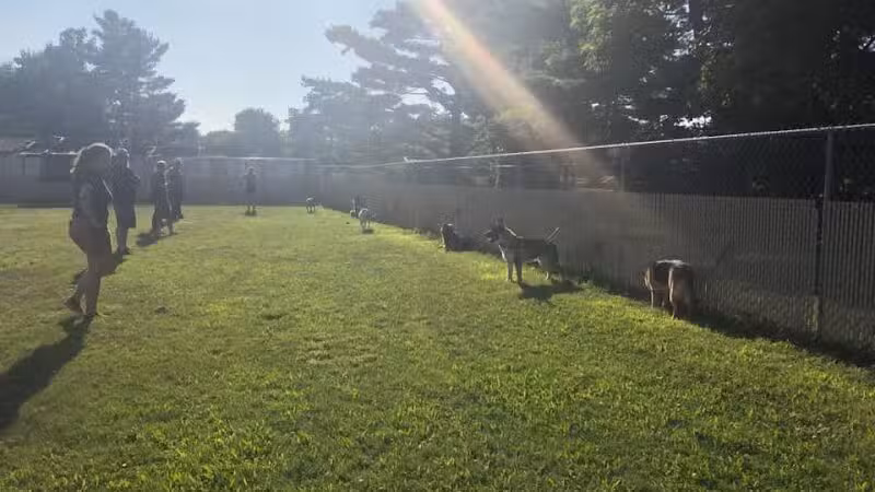 Dog Star Ranch - Muskegon,