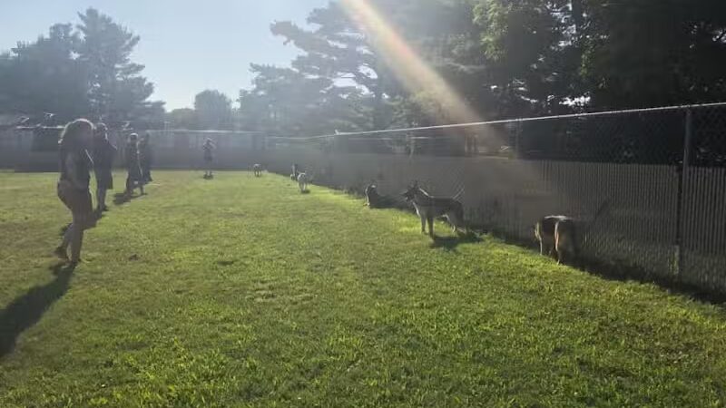 Dog Star Ranch - Muskegon,