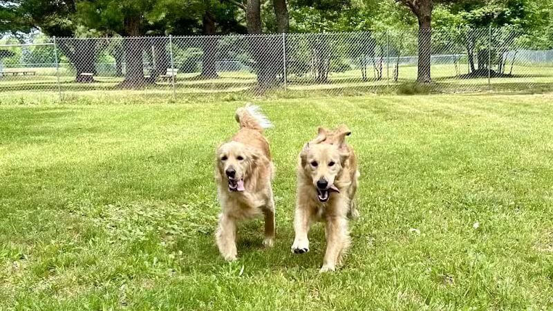 Dog Star Ranch - Muskegon,