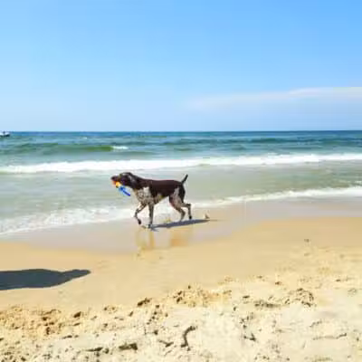 Kruse Park - Muskegon,