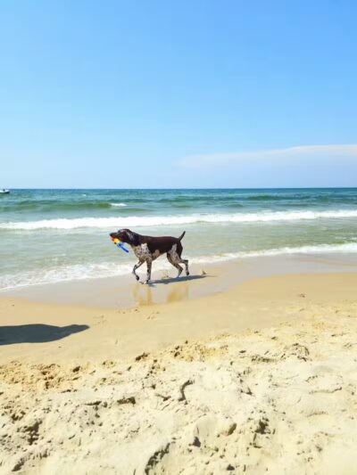 Kruse Park - Muskegon,