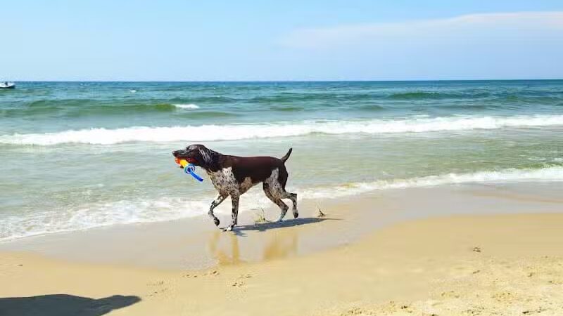 Kruse Park - Muskegon,