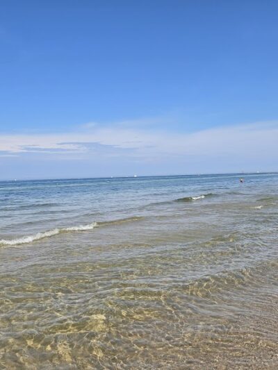 Kruse Park Dog Beach - Muskegon,