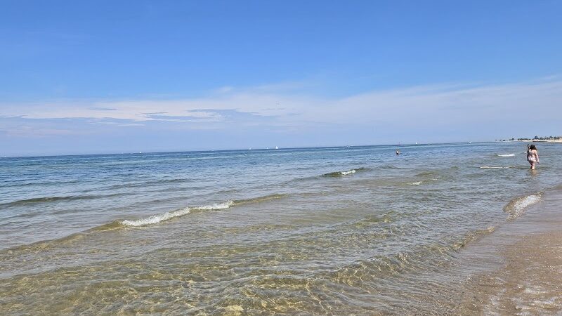 Kruse Park Dog Beach - Muskegon,