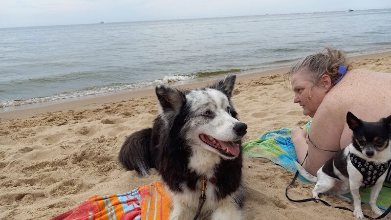 Kruse Park Dog Beach - Muskegon,
