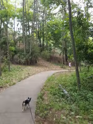 Kruse Park - Muskegon,