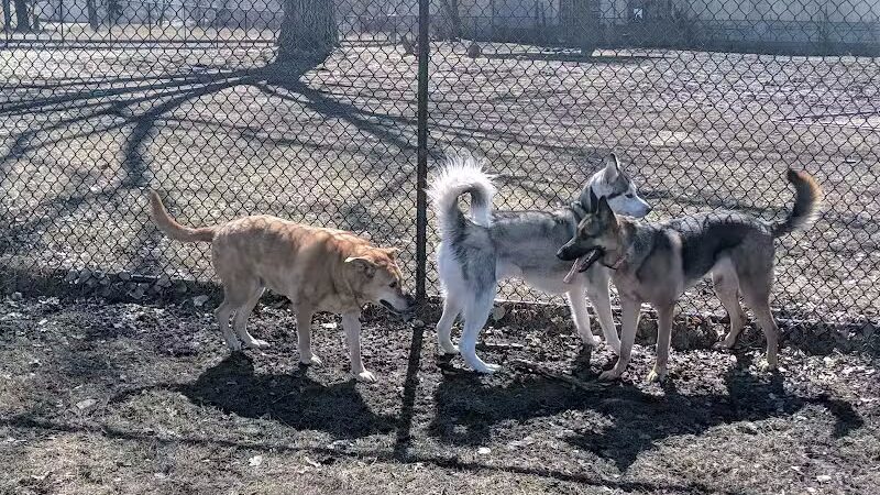 Muskegon Petsafe Dog Park - Muskegon,