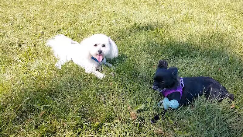 Muskegon Petsafe Dog Park - Muskegon,