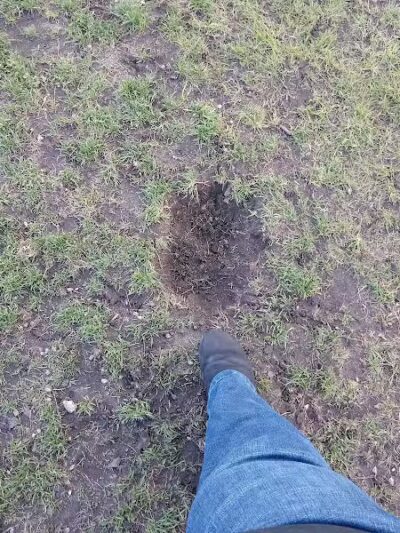 Muskegon Petsafe Dog Park - Muskegon,