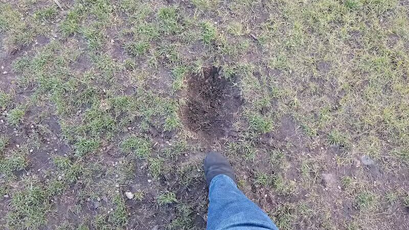 Muskegon Petsafe Dog Park - Muskegon,