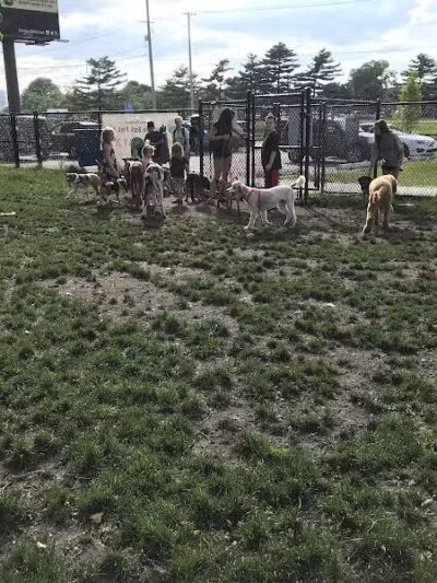 Muskegon Petsafe Dog Park - Muskegon,