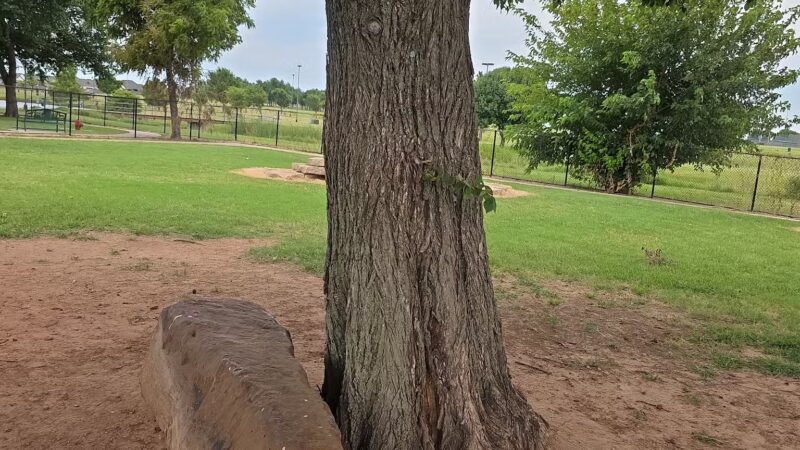 Mustang Dog Park - Mustang, OK