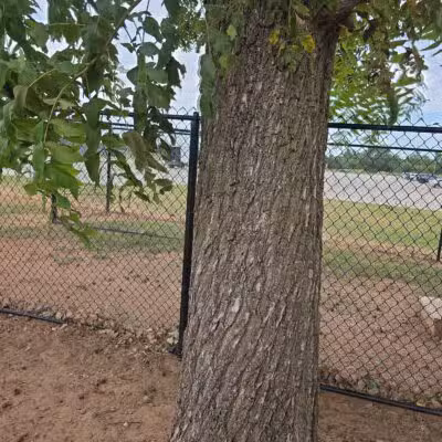 Mustang Dog Park - Mustang, OK