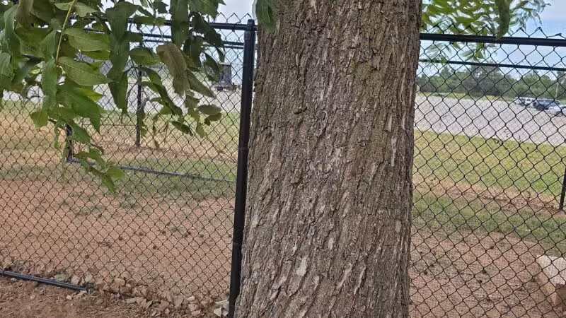 Mustang Dog Park - Mustang, OK