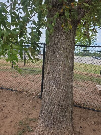 Mustang Dog Park - Mustang, OK