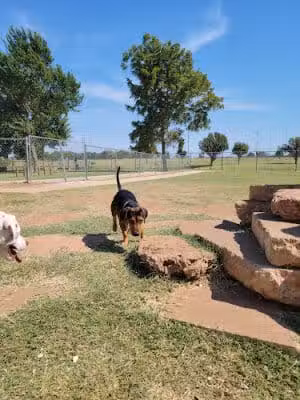 Mustang Dog Park - Mustang, OK