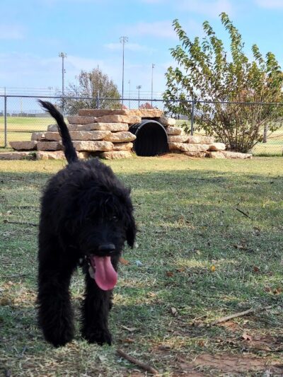 Mustang Dog Park - Mustang, OK