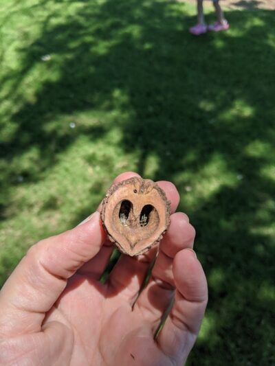 Mustang Dog Park - Mustang, OK