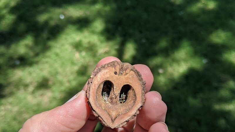 Mustang Dog Park - Mustang, OK