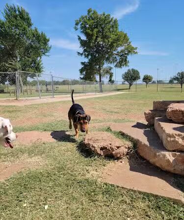 Mustang Dog Park - Mustang, OK