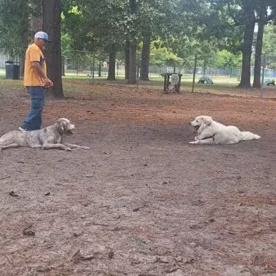 Barc Parc South - Myrtle Beach, SC