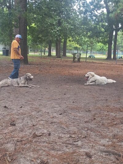 Barc Parc South - Myrtle Beach, SC