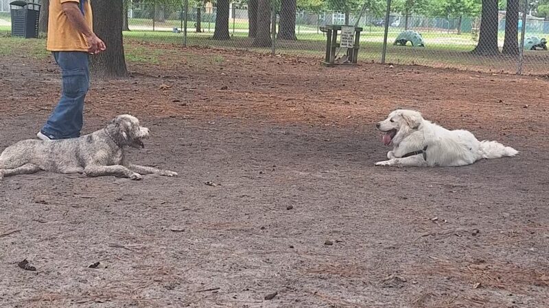 Barc Parc South - Myrtle Beach, SC