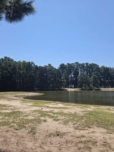 Barc Parc South - Myrtle Beach, SC