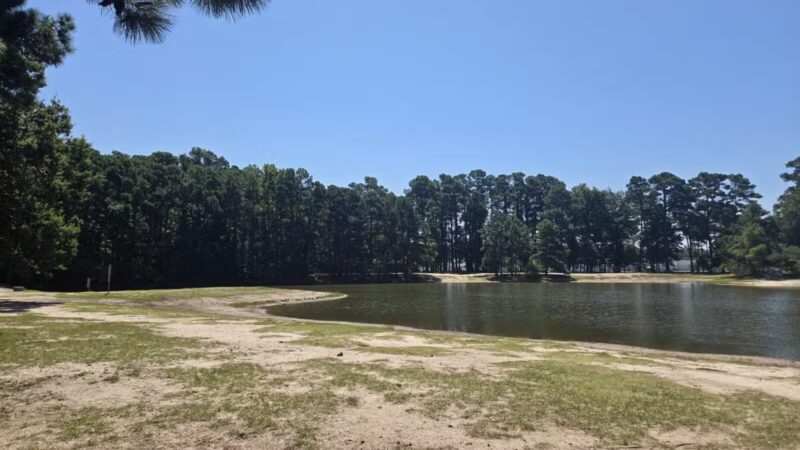 Barc Parc South - Myrtle Beach, SC