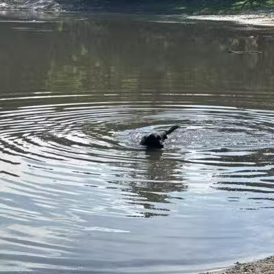 Barc Parc South - Myrtle Beach, SC