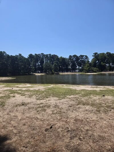 Barc Parc South - Myrtle Beach, SC