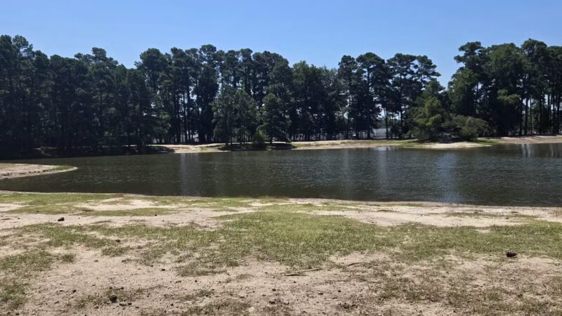 Barc Parc South - Myrtle Beach, SC