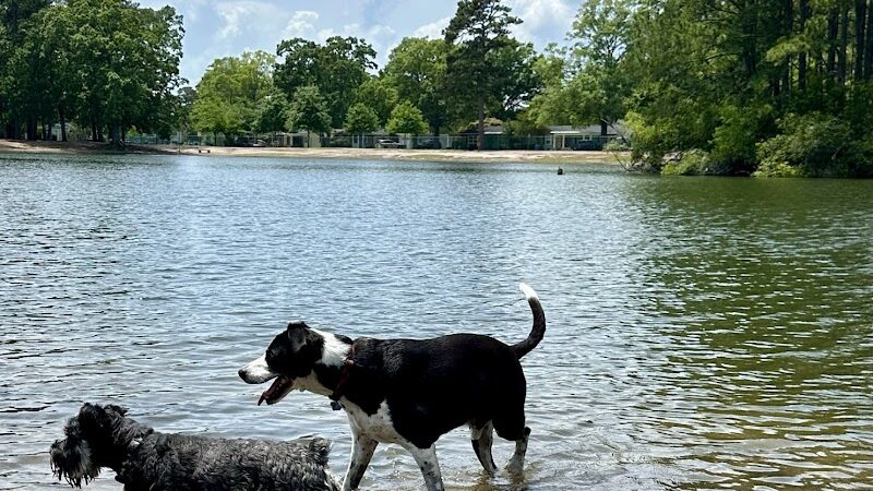 Barc Parc South - Myrtle Beach, SC