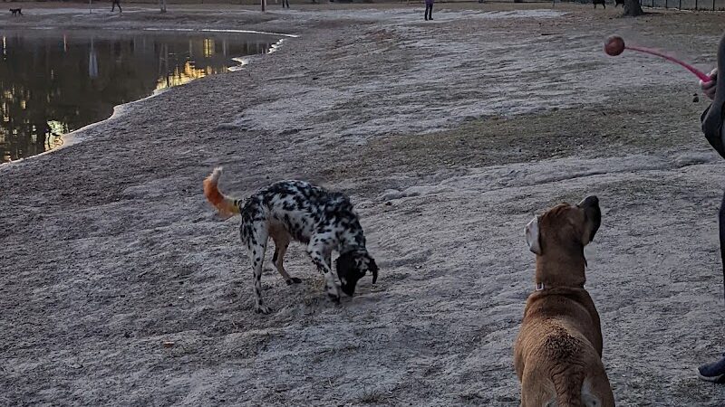 Barc Parc South - Myrtle Beach, SC