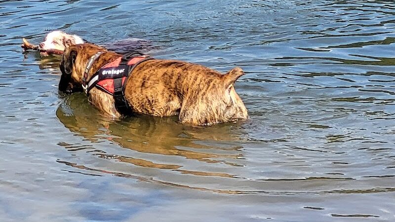 Barc Parc South - Myrtle Beach, SC