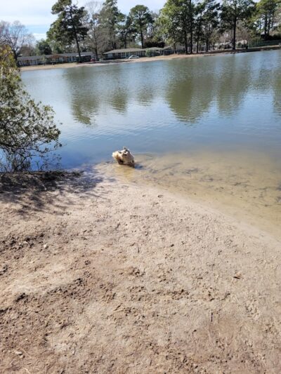 Barc Parc South - Myrtle Beach, SC