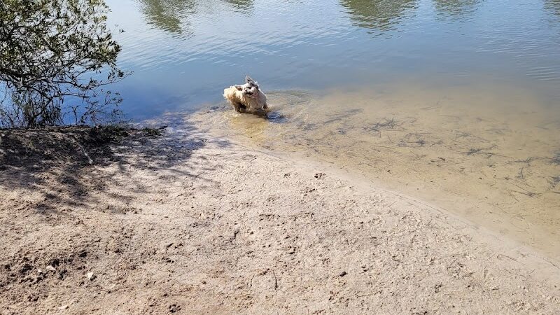 Barc Parc South - Myrtle Beach, SC