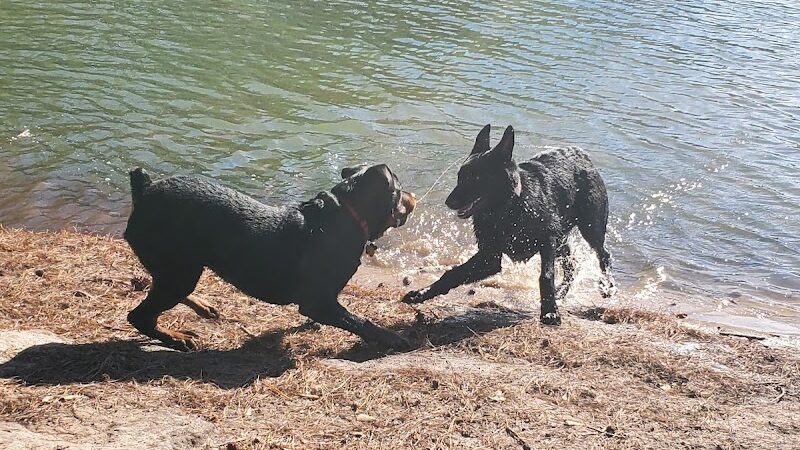 Barc Parc South - Myrtle Beach, SC