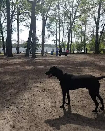 Barc Parc South - Myrtle Beach, SC