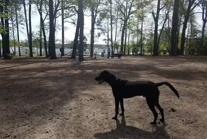 Barc Parc South - Myrtle Beach, SC