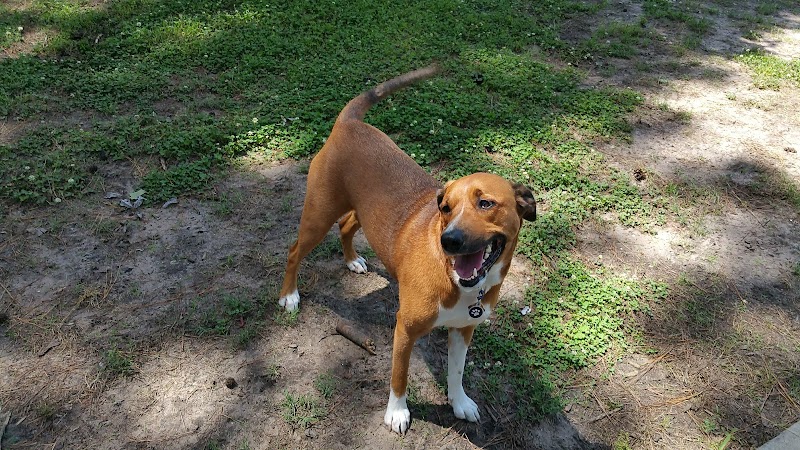 Myrtle Beach Barc Parc North - Myrtle Beach, SC